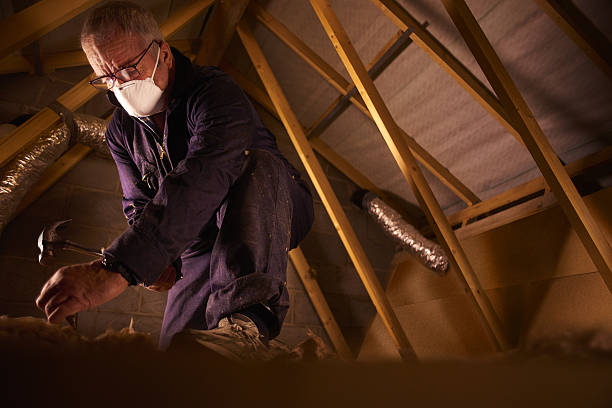Best Cellulose Insulation in Waynesburg, OH